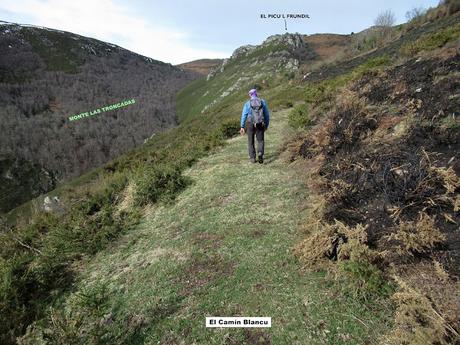 Taxa-Veiga Cueiro-Veiga Prao-Vicenturo