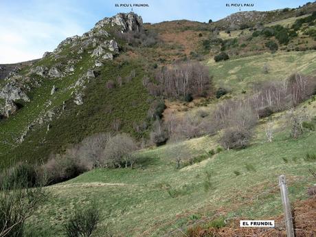 Taxa-Veiga Cueiro-Veiga Prao-Vicenturo