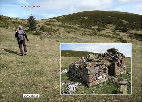 Taxa-Veiga Cueiro-Veiga Prao-Vicenturo