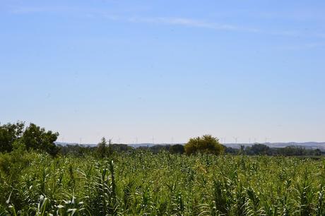 BLOGSSIPGIRL HA ESTADO ALLÍ: SOTO DE CANTALOBOS