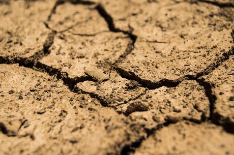 Gobierno de Chile decreta emergencia agrícola por falta de lluvias.
