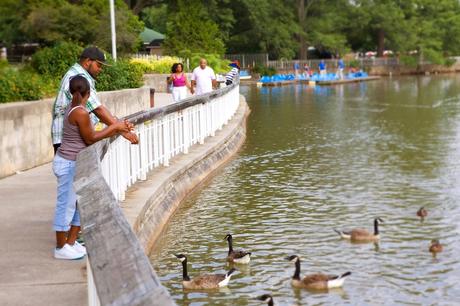 ▷ 5 cosas que hacer en Raleigh, Carolina del Norte Pullen-Park ▷ 5 cosas que hacer en Raleigh, Carolina del Norte