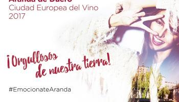 Aranda de Duero quiere convertirse en Ciudad Europea del Vino 2020