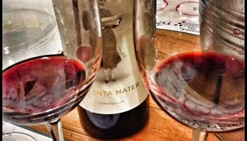 Aranda de Duero quiere convertirse en Ciudad Europea del Vino 2020