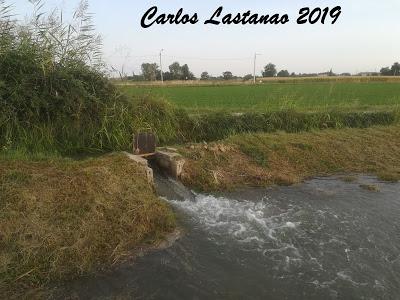 Exportando el agua de la vida. Exportando el agua de la vida.