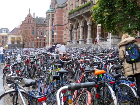 ¿Por qué el ciclismo en Holanda es el mejor?