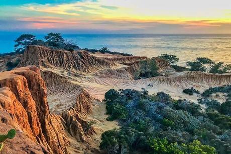 Torrey-Pines-State-Natural-Reserve-in-La-Jolla-San-Diego.jpg.optimal ▷ Ideas de itinerario de San Diego de 1 a 3 días (+ mapas y consejos)