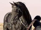equitación, algo hobby, según Gala Equitación