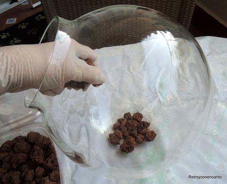 Jardín de cristal...