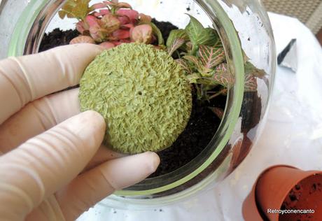 Jardín de cristal...