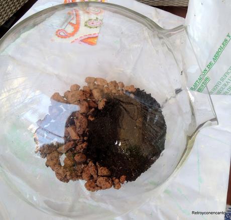 Jardín de cristal...