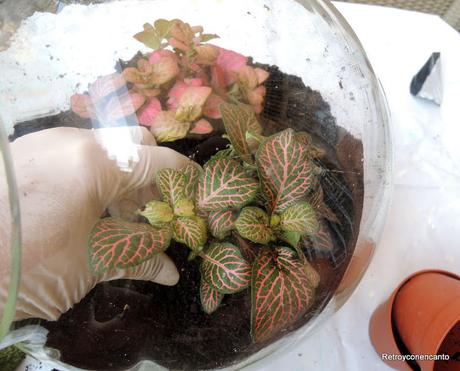 Jardín de cristal...