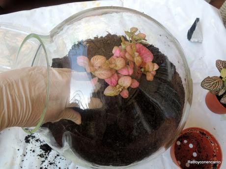 Jardín de cristal...