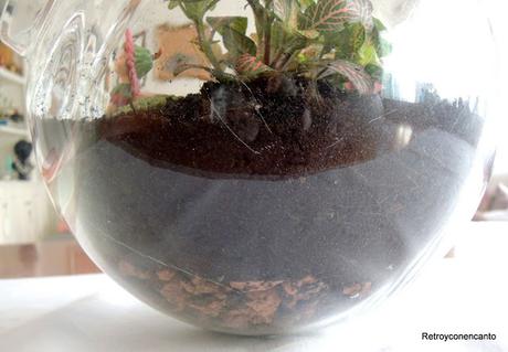 Jardín de cristal...