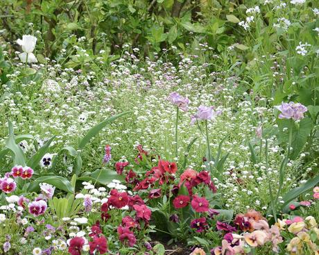 Primavera en Giverny: los jardines de Monet y la más maravillosa explosión de flores y colores