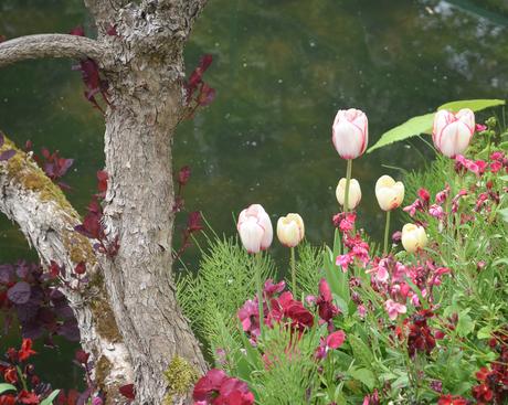 Primavera en Giverny: los jardines de Monet y la más maravillosa explosión de flores y colores