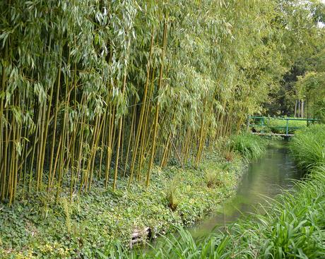 Primavera en Giverny: los jardines de Monet y la más maravillosa explosión de flores y colores