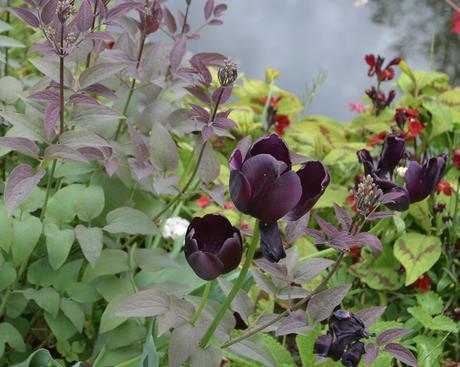 Primavera en Giverny: los jardines de Monet y la más maravillosa explosión de flores y colores