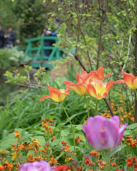 Primavera en Giverny: los jardines de Monet y la más maravillosa explosión de flores y colores