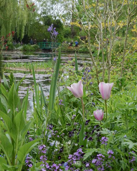 Primavera en Giverny: los jardines de Monet y la más maravillosa explosión de flores y colores