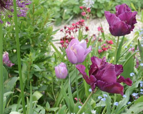 Primavera en Giverny: los jardines de Monet y la más maravillosa explosión de flores y colores