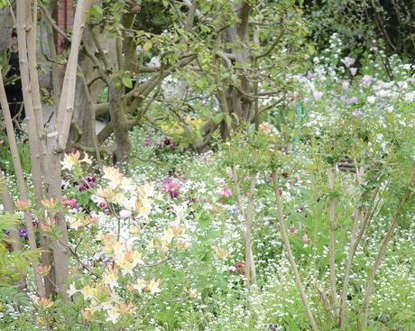 Primavera en Giverny: los jardines de Monet y la más maravillosa explosión de flores y colores