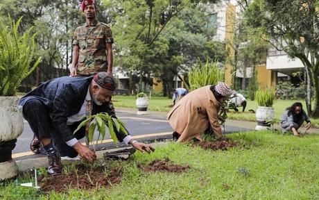 Etiopía: plantan 350 millones de árboles en 12 horas