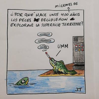 Evolución y tachones (Jose Tomás)