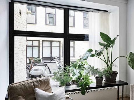 Estudio de estilo limpio y acogedor