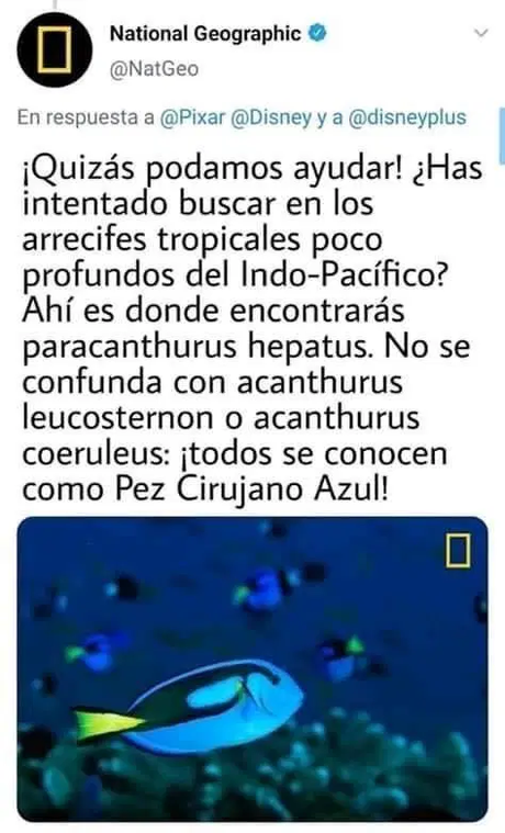 Disney Plus no ha empezado y su contenido ya es viral #bloggerINVITADO Disney Plus no ha empezado y su contenido ya es viral #bloggerINVITADO