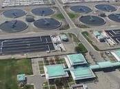 ¿Qué biofactoría?