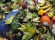 enorme huella carbono provoca desperdicio alimentos