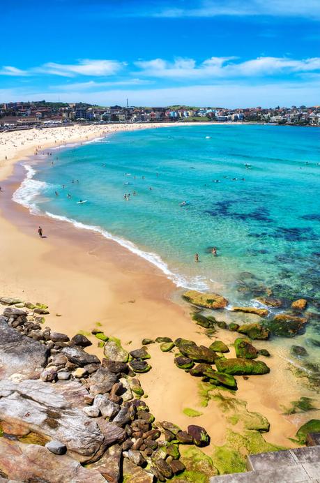 bondi-beach-what-to-do-in-sydney ▷ Comente sobre Qué hacer en Sydney en 48 horas: un emocionante itinerario de 2 días por Qué hacer en Sydney en 48 horas - Buscar Pride Travel