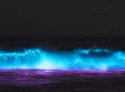 Peter Gabriel Flotsam Jetsam (2019)