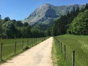 Verde Arrazola