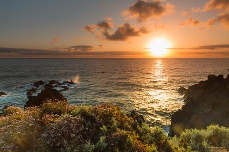 Islas Canarias. La Palma, Isla Bonita