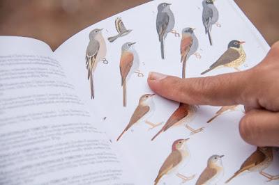 RECIBIRÁ EDOMÉX MÁS DE 5 MIL VISITANTES EN TERCER ENCUENTRO NACIONAL DE COORDINADORES DEL PROGRAMA DE AVES URBANAS