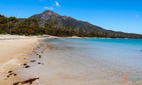 ▷ Comente Solo en la famosa Wineglass Bay de Top 10 Bays en Australia para relajarse en 2020 | Australia sin envolver Hazards-Beach-Freycinet-Peninsula-Tasmania-27 ▷ Comente Solo en la famosa Wineglass Bay de Top 10 Bays en Australia para relajarse en 2020 | Australia sin envolver