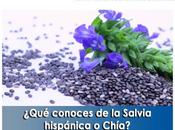 Artricenter: ¿Qué conoces Salvia hispánica Chía?