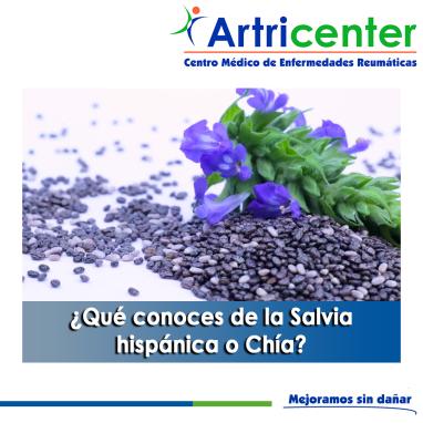 Artricenter: ¿Qué conoces de la Salvia hispánica o Chía?