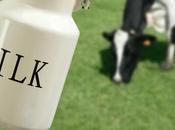 EE.UU.: médicos exigen American Heart Association retirar recomendación niños consuman leche vaca