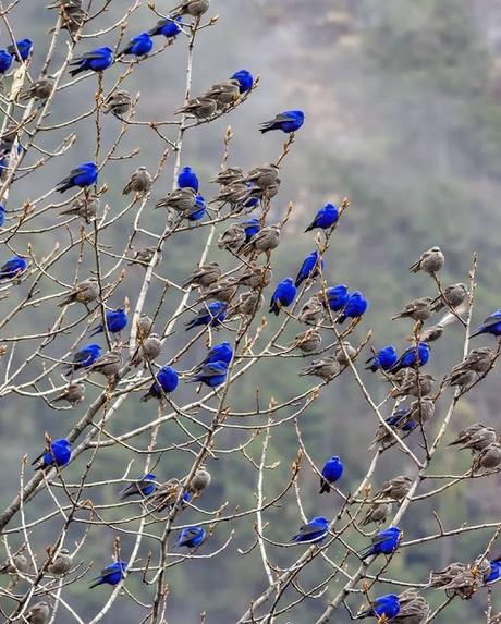 El otoño letal de los políticos y la crisis climática.