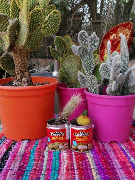 la decoración de mi cena de cumpleaños mexicano