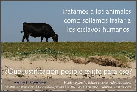 Animalismo y veganismo Animalismo y veganismo