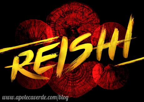 ¿Qué es el Reishi, una moda o una realidad? que es el reishi