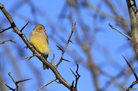 Breve salida por el campo Breve salida por el campo