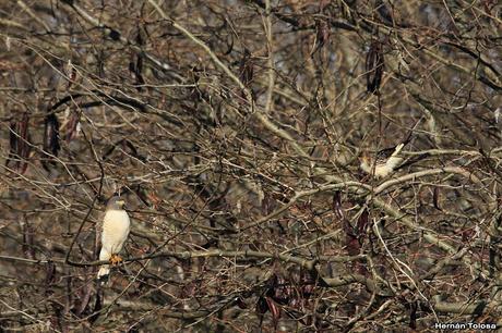 Breve salida por el campo Breve salida por el campo