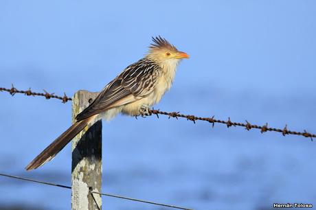 Breve salida por el campo Breve salida por el campo