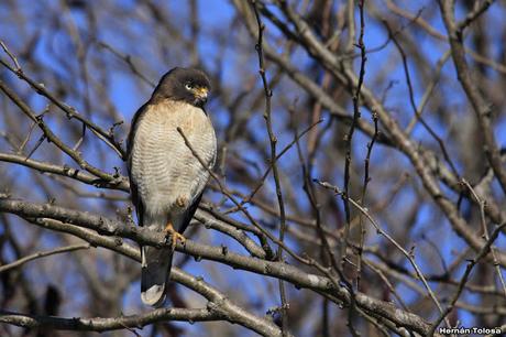 Breve salida por el campo Breve salida por el campo