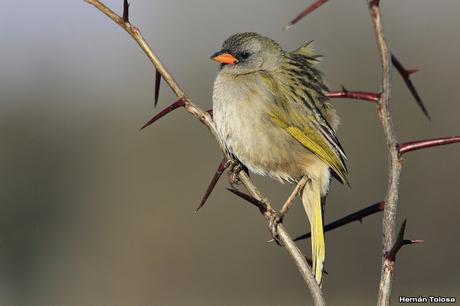 Breve salida por el campo Breve salida por el campo